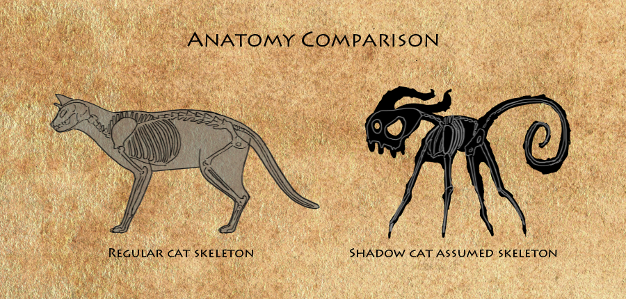 Anatomy comparison. Shows how the anatomy of the Shadow Cat is completely unrealistic.